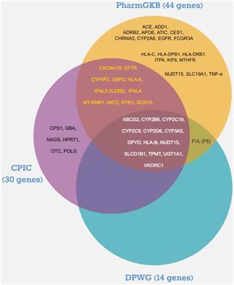 Pharmacogenes that demonstrate high association evidence according to CPIC, DPWG, and PharmGKB